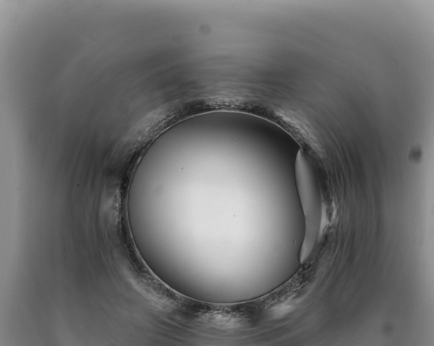 X0000090720498200707271156