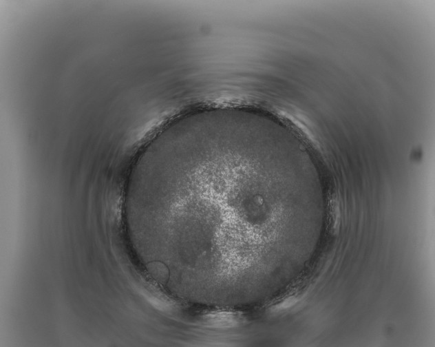 X0000090720499200707271156