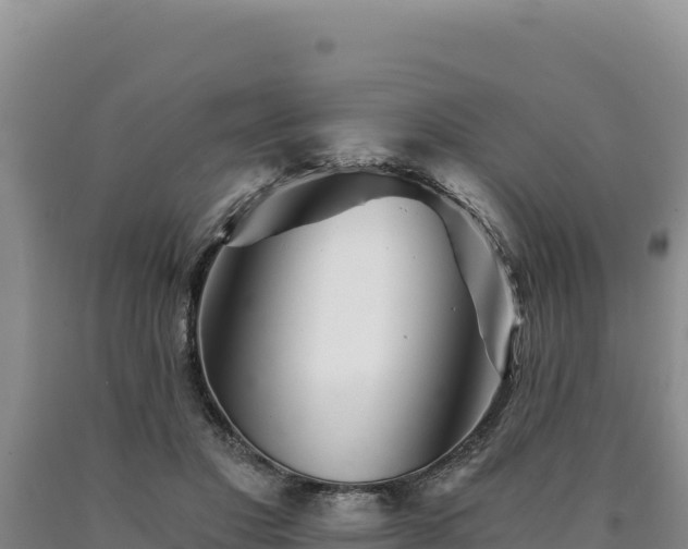 X0000090720501200707271155