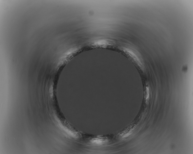 X0000090720504200707271155