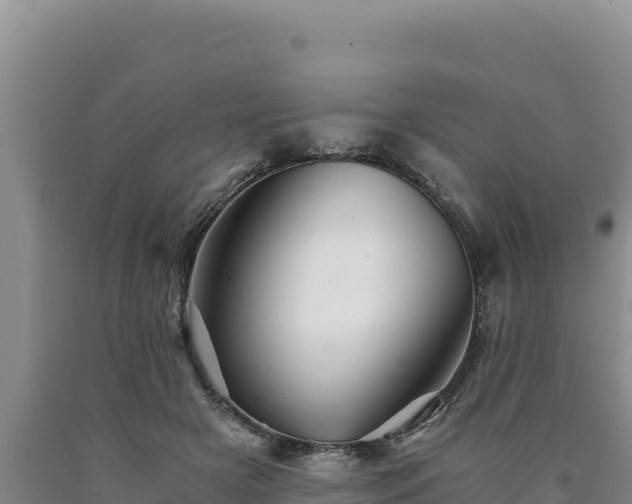 X0000090720505200707271155