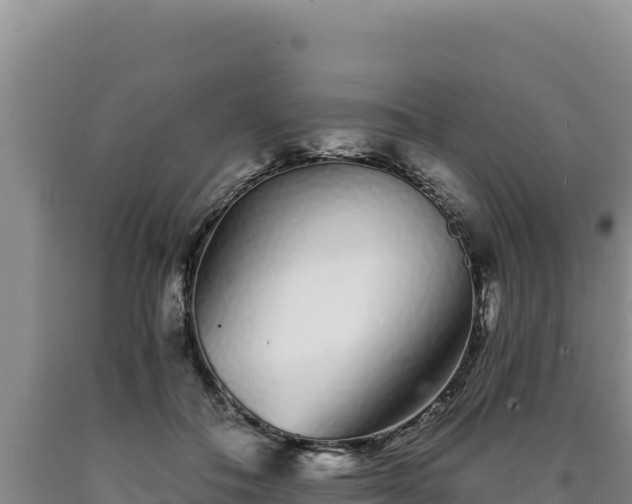 X0000090720506200707271155