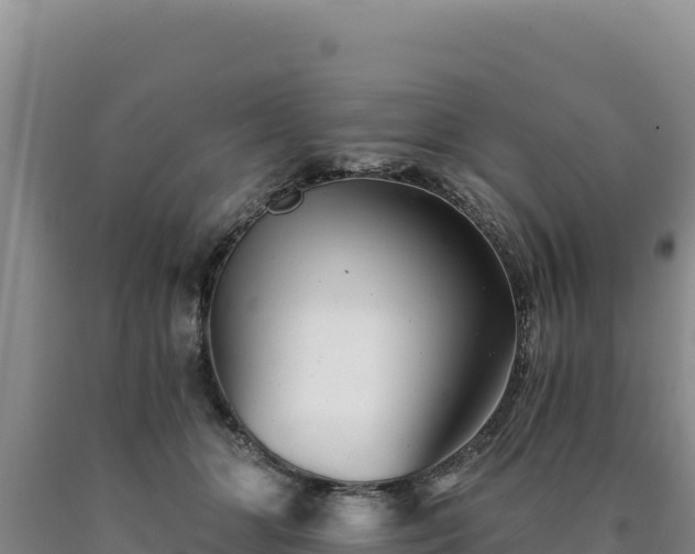 X0000090720510200707271155