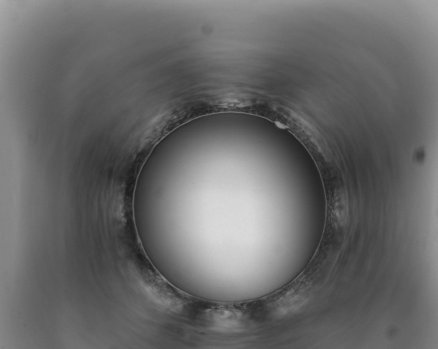 X0000090720512200707271155