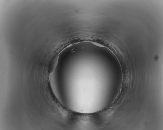 X0000090720513200707271155