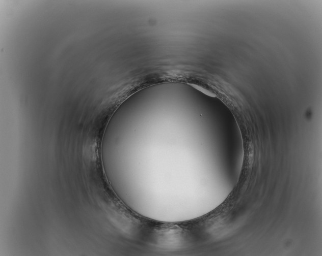 X0000090720514200707271155