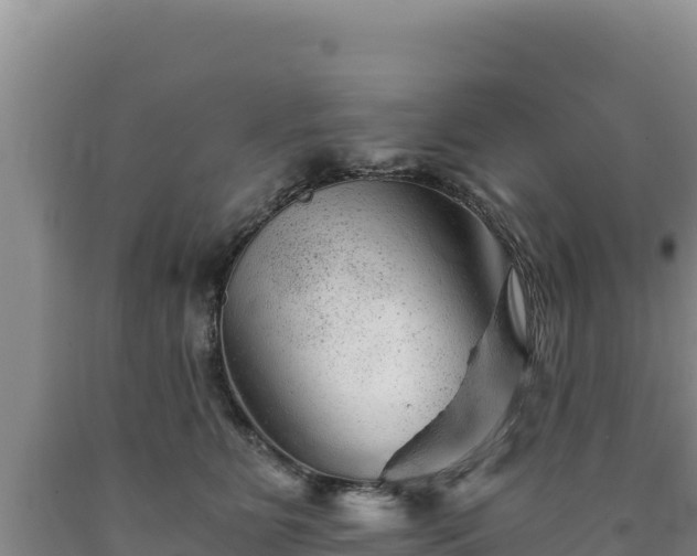 X0000090720515200707271155