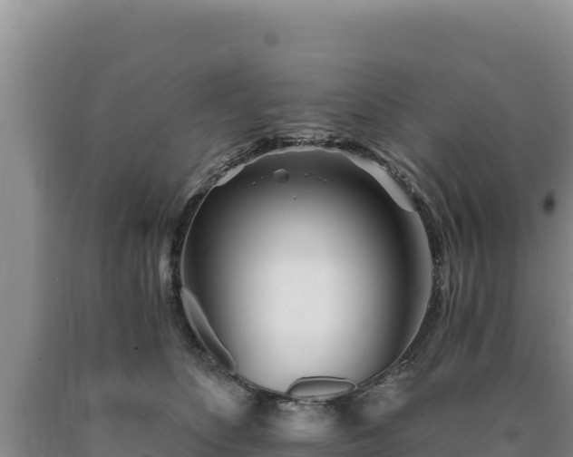 X0000090720516200707271155