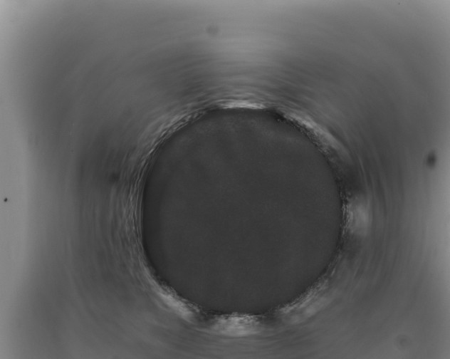 X0000090720517200707271155