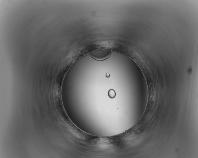 X0000090720518200707271155