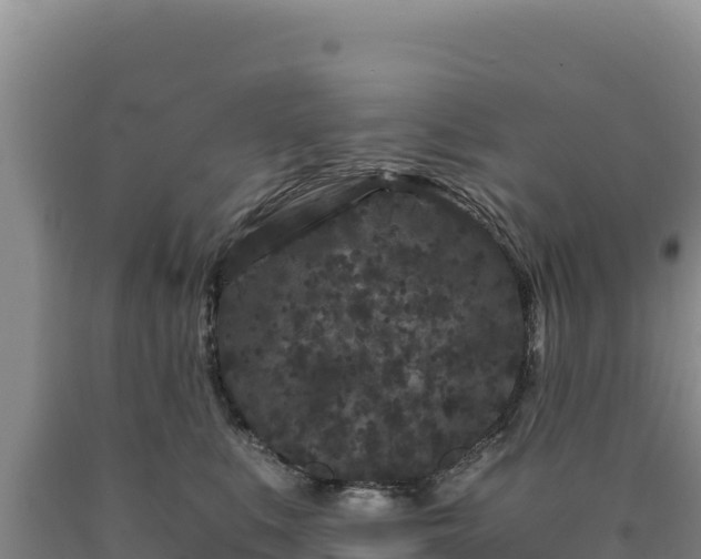 X0000090720519200707271155