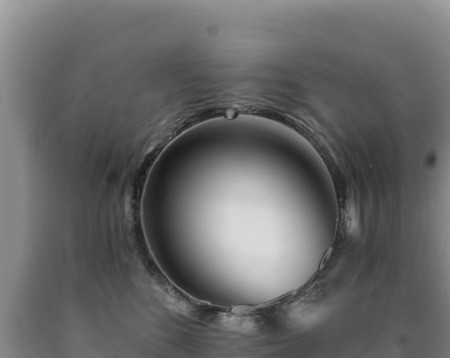 X0000090720520200707271155