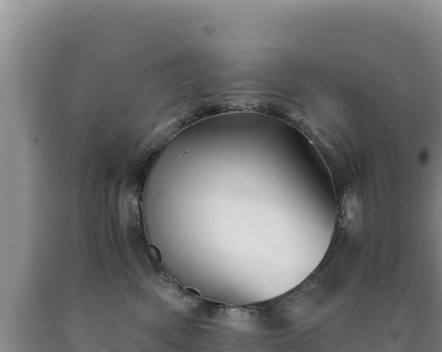 X0000090720522200707271155