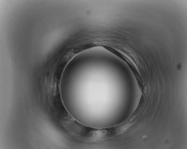 X0000090720525200707271155