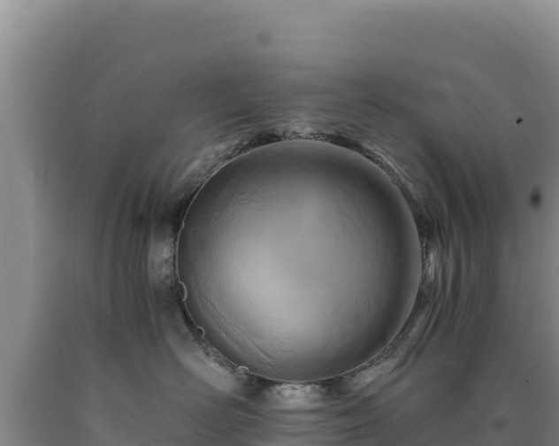 X0000090720526200707271155