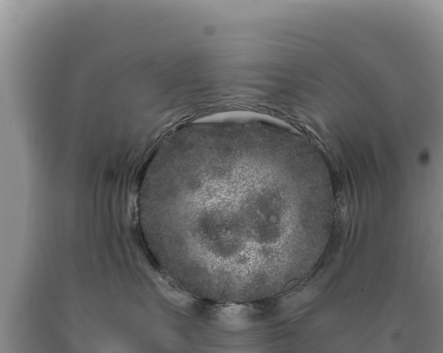 X0000090720527200707271155