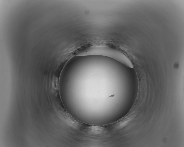 X0000090720528200707271155