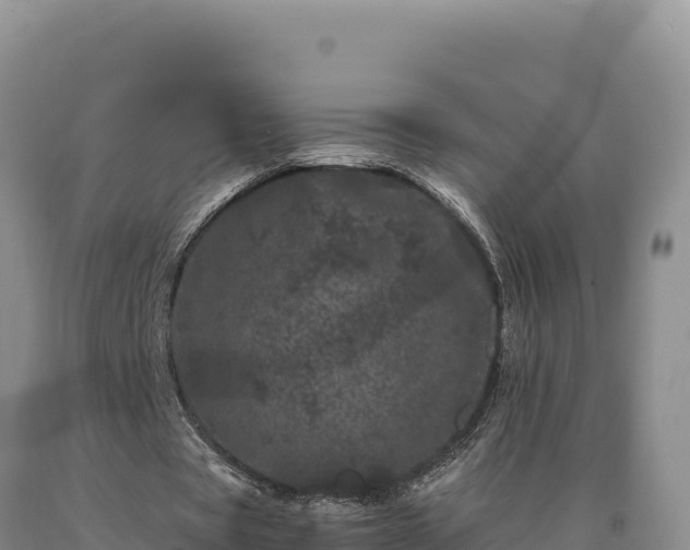 X0000090720529200707271154