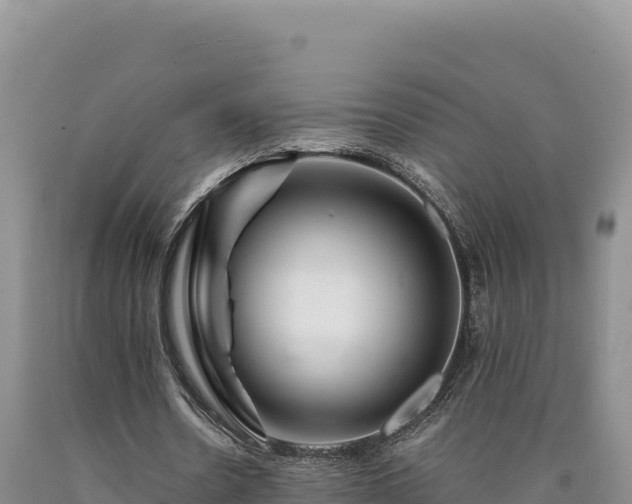 X0000090720530200707271154