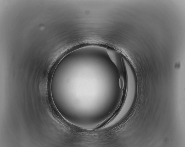 X0000090720531200707271154