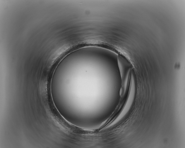 X0000090720535200707271154
