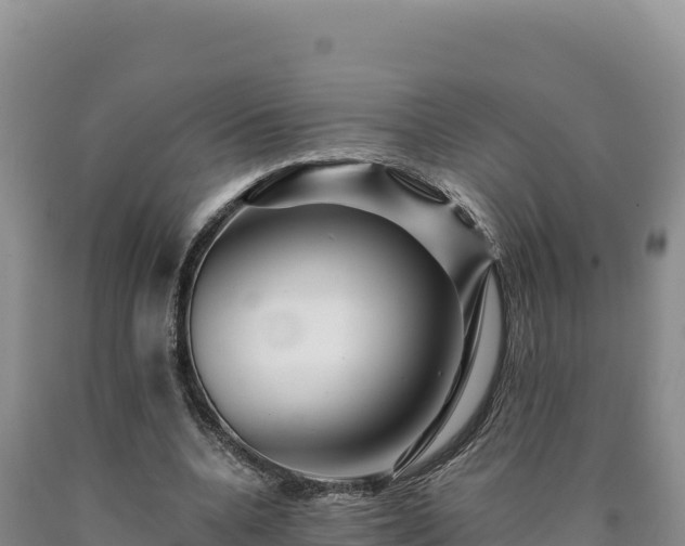 X0000090720536200707271154