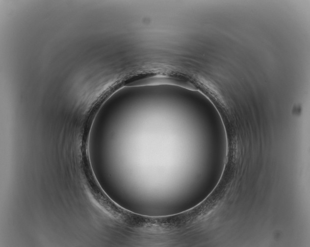 X0000090720538200707271154