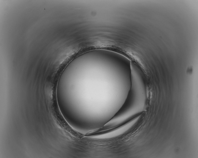 X0000090720539200707271155
