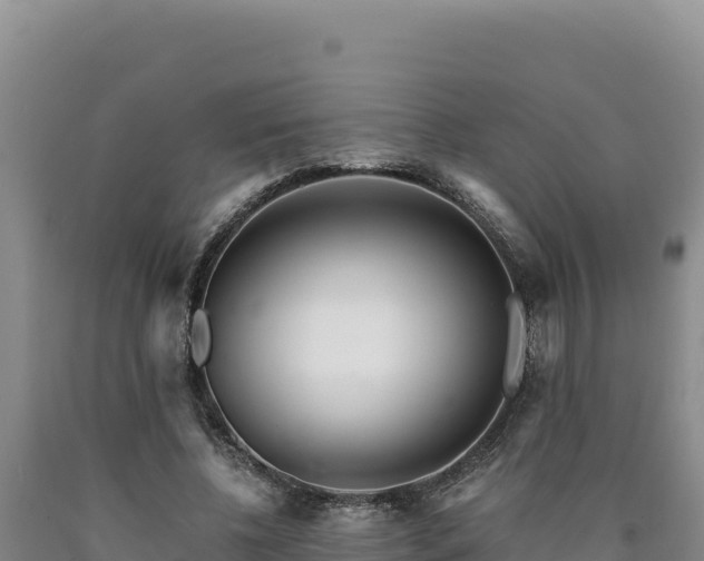 X0000090720540200707271155