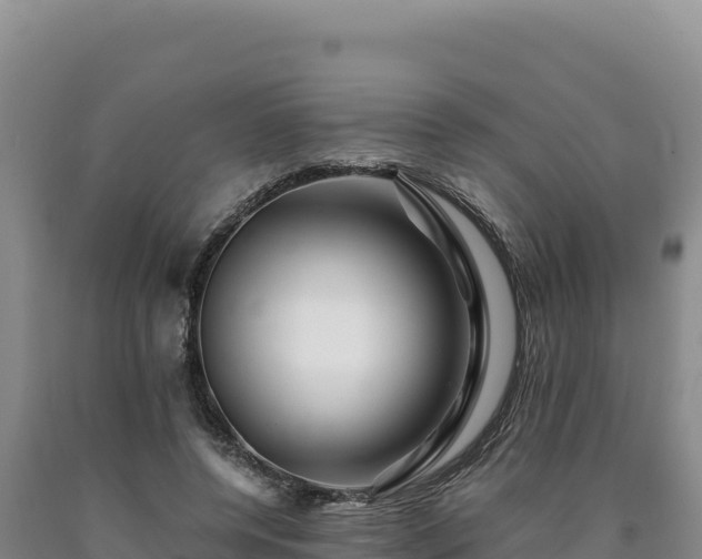 X0000090720544200707271155