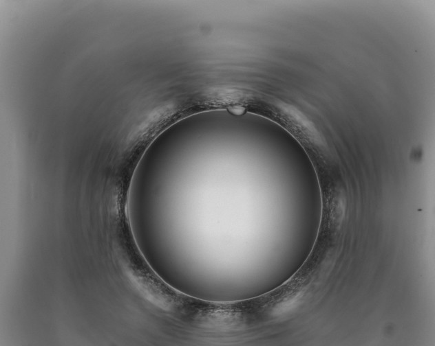 X0000090720546200707271155