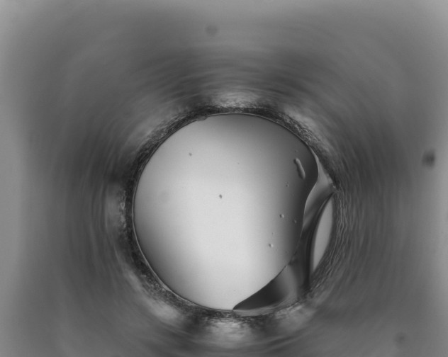 X0000090720547200707271155