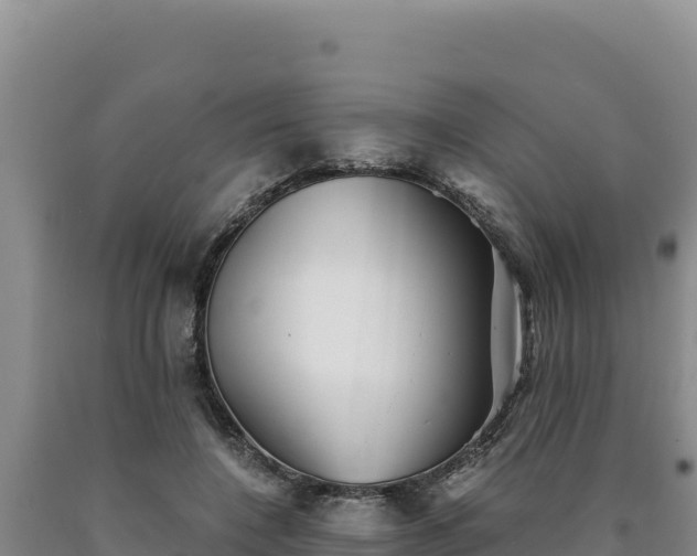 X0000090720548200707271155