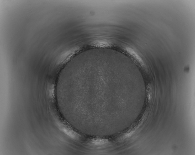 X0000090720549200707271155