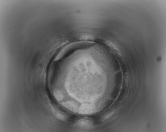 X0000090720550200707271155
