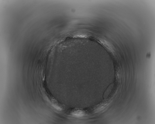 X0000090720551200707271155