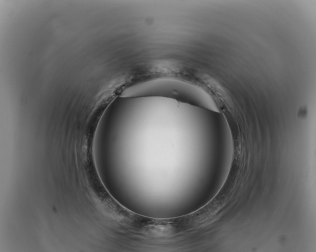 X0000090720552200707271155