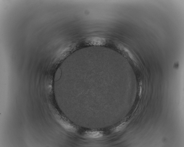 X0000090720553200707271155