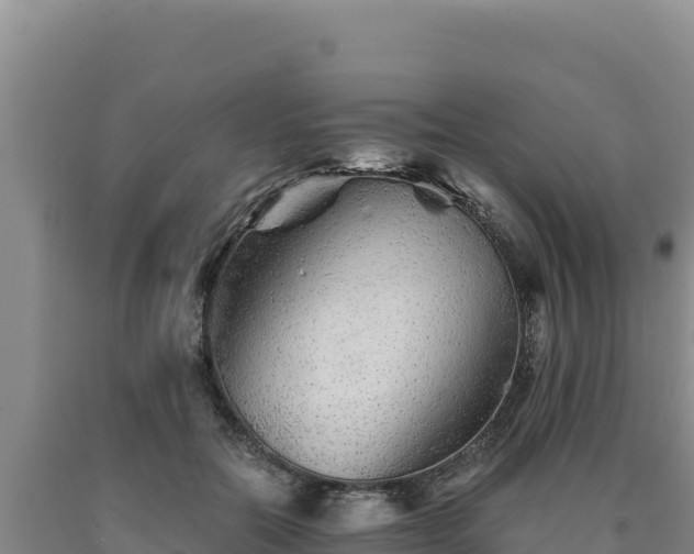 X0000090720554200707271155
