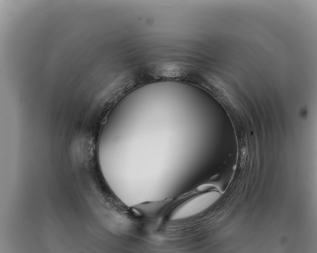 X0000090720555200707271155