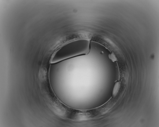 X0000090720556200707271155
