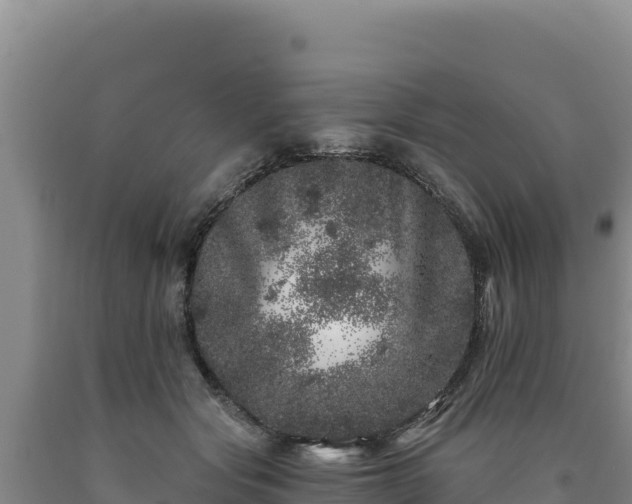 X0000090720557200707271155
