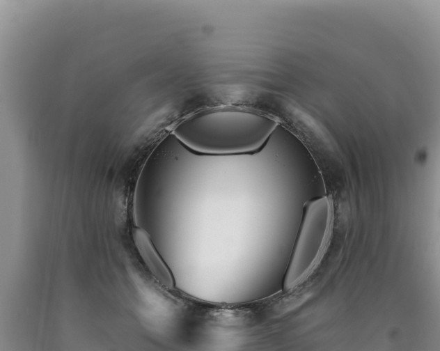 X0000090720558200707271155