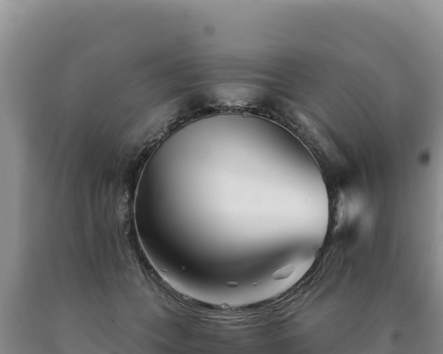 X0000090720559200707271155
