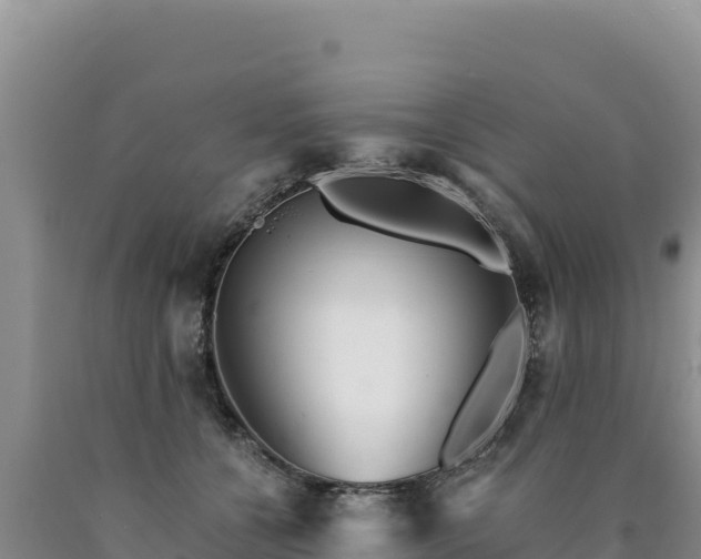 X0000090720560200707271155