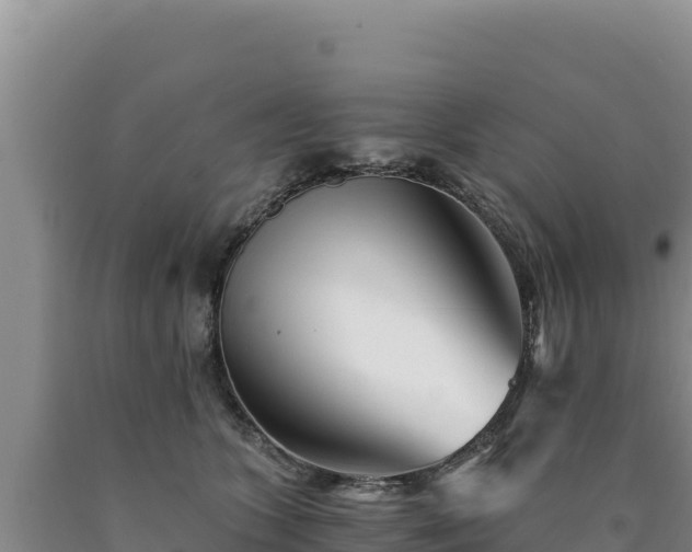 X0000090720563200707271155