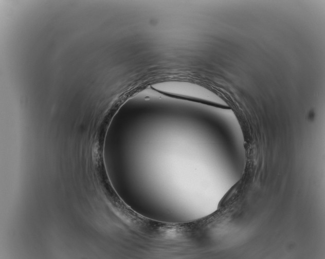 X0000090720564200707271155