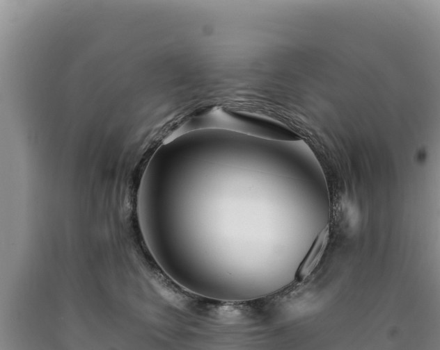 X0000090720566200707271155