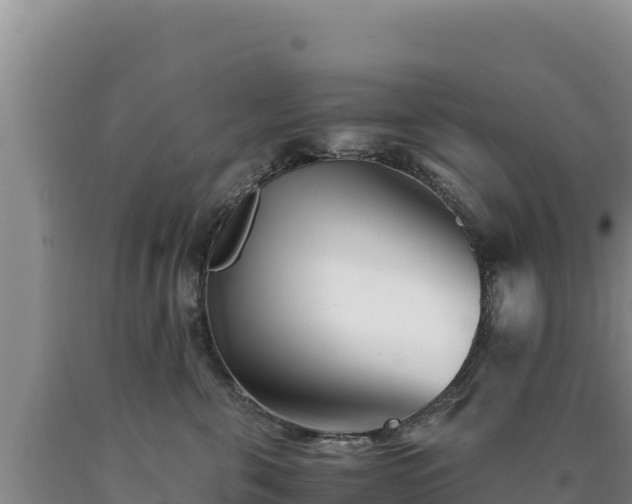 X0000090720571200707271155