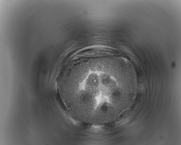 X0000090720573200707271155